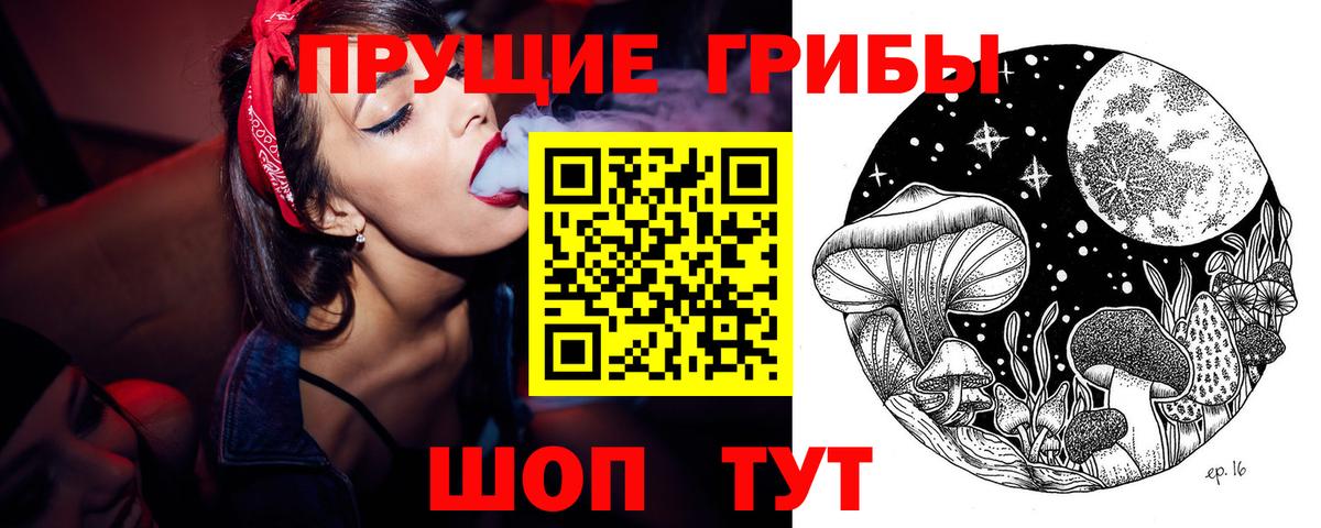 Галлюциногенные грибы Psilocybe  Вход с VPN  купить наркотики сайты  Кольчугино 